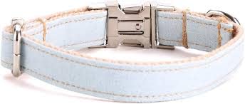 kumar Medium Basic Collars Pack of 1