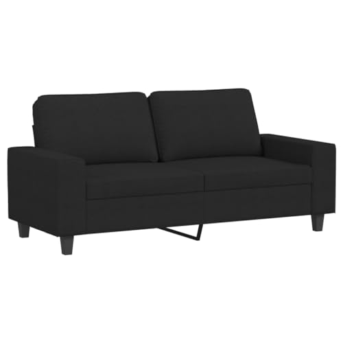 vidaXL Canapé à 2 Places, Causeuse avec Oreillers, Siège avec Accoudoirs et Dossier Rembourrés, Meuble de Salle de Séjour, Moderne, Noir Velours