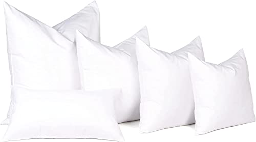 puredown® 28 x 28 Feather Down Throw Pillow Insert, 1 Pack Euro Pillow for Decorative Bed Cushion Couch Sofa