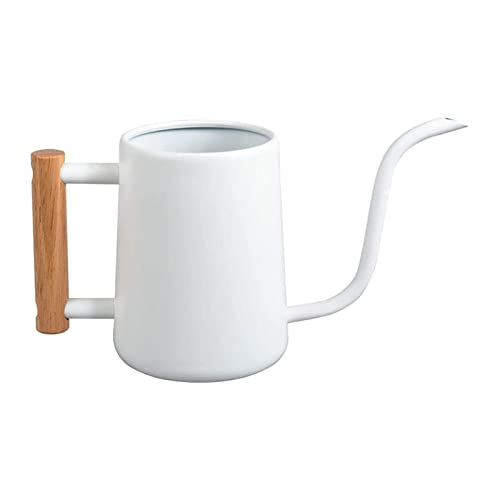 Regadera para plantas – Regadera de metal de acero inoxidable de 1000 ml con caño largo, dispositivo de riego de plantas para plantas de interior, bonsái, jardín, flores, decorativa, color blanco