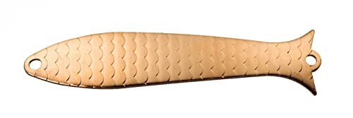 Thomas C20-g Speedy Shiner cireuse à chaussures électrique pour raviver le cuir