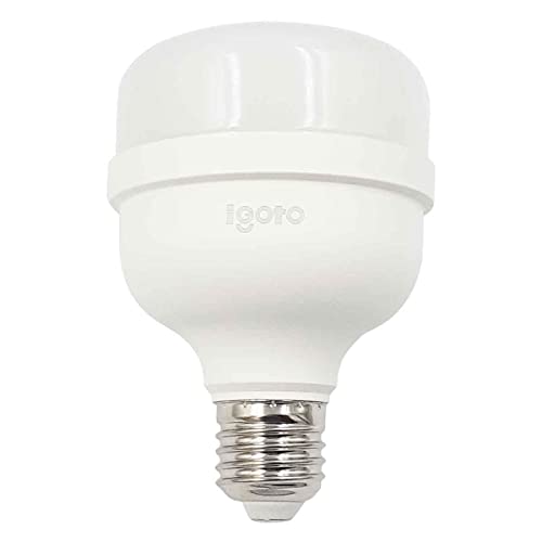 Recopilación de Focos - los más vendidos. 43 iGOTO F10520 Foco led T80, 20W, Luz Fría
