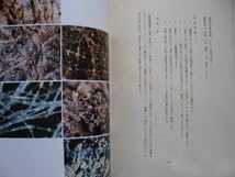 Amazon.co.jp: 多賀城漆紙文書宮城県多賀城跡調査研究所資料 1 1979年