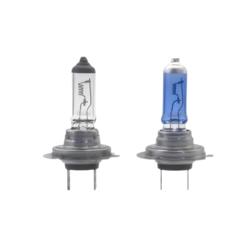 Car Light Bulb H7 24V100W PX26D Front Fog Lamp Quartz Glass Halogen Headlight(H7 24V100W PX26D Clear Light)