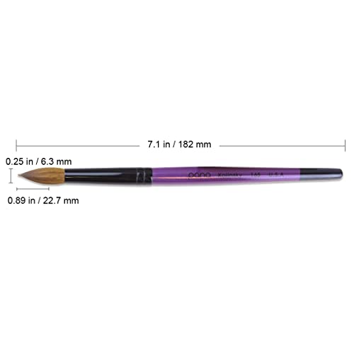 Pana Pure Kolinsky Hair Acrylic Nail Brush - Round Shape Black Ferrule With Purple Wood Handle (Size 10) - Nail Brush For Acrylic Nail Application, Nail Extension, Manicure Pedicure Salon Beginner And Professional #TOP1