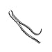 American Extraction Forceps, Lower Molars No. 16S