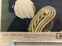 Amazon.co.jp: 東郷平八郎 元帥 肖像画ポスター : ホーム＆キッチン