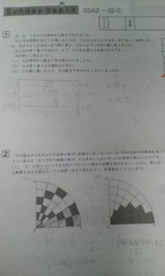 サピックス＊６年＊算数／女子学院対策プリント～授業用 復習テスト＊全４２回＊貴重 サピックス＊6年＊算数／女子学院対策プリント～授業用 復習