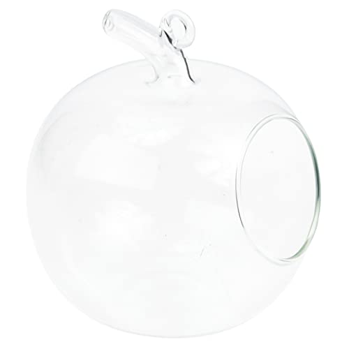 Happyyami Vase en Verre Transparent Forme De Pomme 4.72X3.94X3.94In Pot Hydroponique Décoratif Écologique pour Plantes Maison Moderne