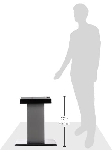 Powerblock Large Column Stand, Dumbbell Rack & Weight Rack,Silver/Black #TOP6