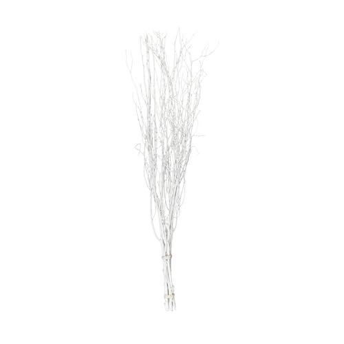 Balsa Circle 6 pcs White 46-inch Extra Long Decorative Birch Tree Branches Vase Fillers Rustic Dried Twigs Sticks Party Wedding Bouquets Centerpieces Supplies