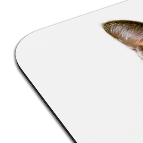 Set de table chat grand format antidérapant pour protéger des rayures - 4