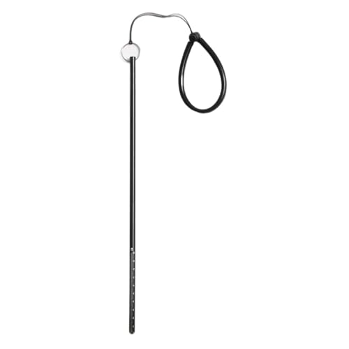 Scuba Dive Stick Pointer Underwater Shaker Noise Maker Rod Tank Banger Diving Stick Pointer (Color : Zwart, Size : 1)