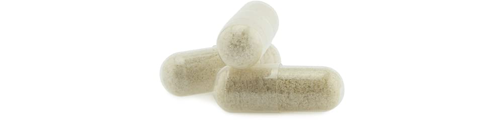 SABAL PALMETTO et pépins de courge * 440 mg / 120 gélules végétales * Appareil urinaire, Prostate