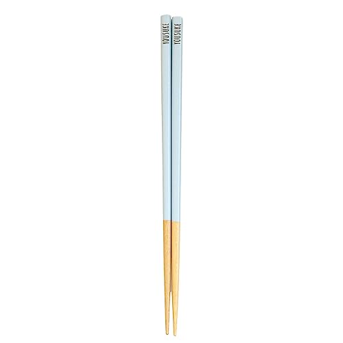 名入れ 箸 食洗機対応 日本製 パステルカラー くすみカラー 単品 クリアケース 入り (パステルブルー)