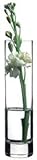 glasvase zylinder 50 cm Pasabahce Glasvase Botanica 43506 – 1 Stück Vase