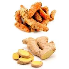 Fresh Turmeric from Fiji & Ginger from Peru Combo By Nine Shani (3 lb)