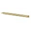 Satin Brass