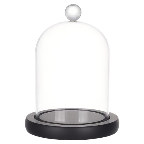 PH PandaHall Cúpula de cristal transparente Cloche Campana de cristal con base para la visualización de Navidad plantas de flores, 15 x 11 cm