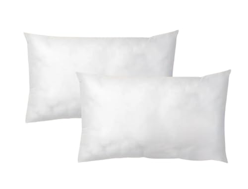 LNT France - Coussins de Garnissage, Ultra Gonflant, Coussin Canapé, Coussin à Recouvrir, Rembourrage Coussins Blanc (50x30 cm (Lot de 2))