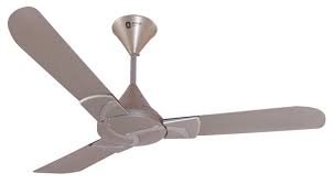 Buy Orient Electric Ceiling Fan Curl 