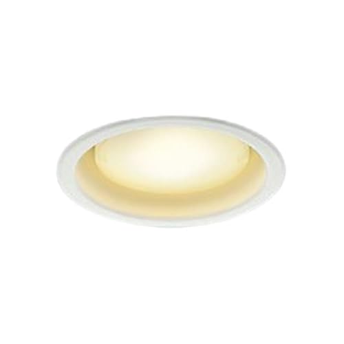 RCY~Ɩ LED_ECg BluetoothΉv ω΍\Ή F 100 zCg dF`FFAD1293W99