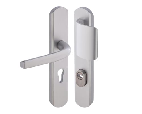 Vachette Poignée de porte blindée sur Plaque pour porte Palière Secumax One - Entraxe 195 mm - Pose Facile - en Aluminium - Protecteur de Cylindre Inox...