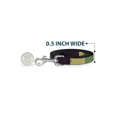 Laisse pour animal de compagnie Buckle-Down contrôle optimal 1,2m