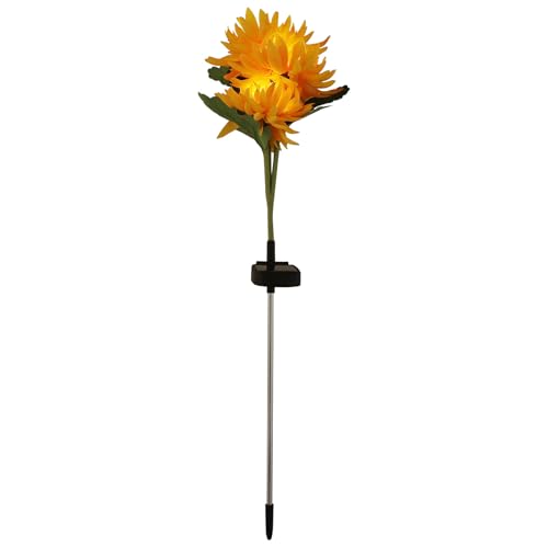 Lampe solaire jardin LED pour sublimer votre terrasse et baliser vos allées avec élégance