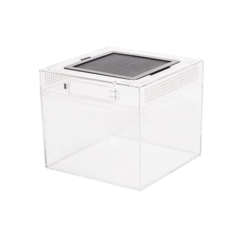 Kirnuo ����P�[�X�A঒��ރP�[�W�A�A�N���������y�b�g�^���N�A�������p ����{�b�N�X�A�����ޗp�P�[�W �A�J���A�N���A�J�G���A�Q�b�R�A�J�}�L���A�w�r�A�T�\�� (20*20*18cm)