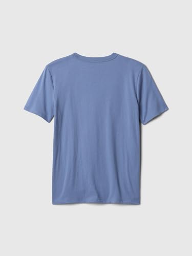 Image of Gap Boys' Short Sleeve Graphic T-Shirt