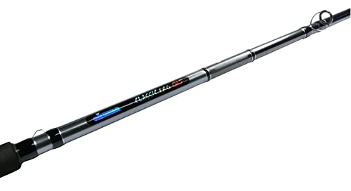 Image of Okuma Classic Pro GLT & Rods