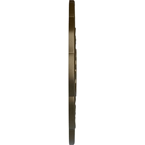Image of Ekena Millwork CM17TSBRSDecorative Ceiling Medallions Modeled After Original Historical Patterns & Designs, Brass