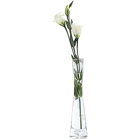 ericotry Small Glass Flower Vase Vintage Clear Mini Mouth Glass Decorative Vase Single Stem Vases for Decorative Home Decor Living Room Office and Centerpieces Cover