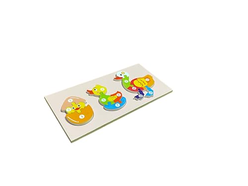 Image of Duck Life Cycle Jigsaw Puzzle - Wooden Jigsaw Puzzle for Kids, Educational Animal Lifecycle Puzzle, Ideal for Ages 2+