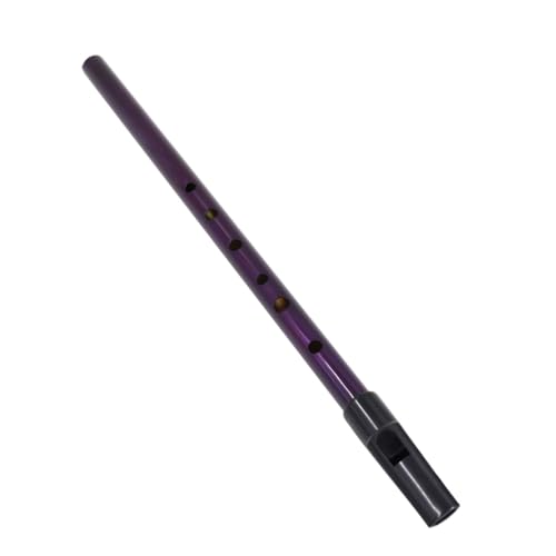 CORHAD D Treble Recorder Irish Whistle Soprano Descant Recorder Beginner's Clarinet Metal Clarinet Instrument Boys and Girls Musical Toy Purple