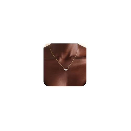 Bouzilli CZ Diamond Pendant Gold Necklace for Women Dainty 14k Gold Plated Choker Necklaces Simple...