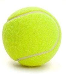 Kanish Cosco Light Weight Yellow Cricket & Tennis Ball for Tournaments & Street Matches Exceptional Performance (4 Packs) (B0CTHP6FTW) Amazon Price History, Amazon Price Tracker