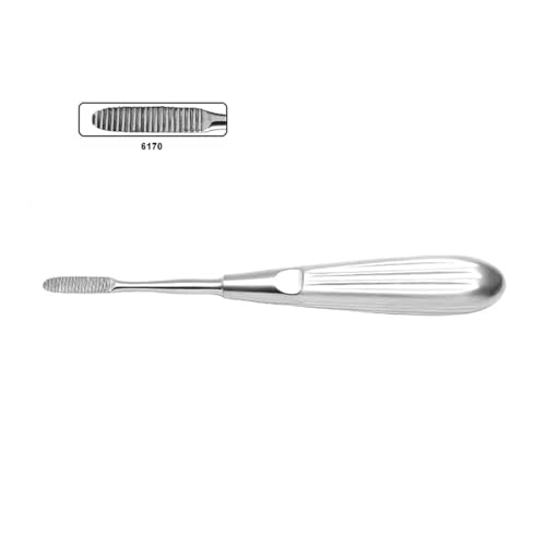 DrTail Premolar Rasp Medium – High-Quality Stainless Steel Tool for Shaping and Contouring | Backward Cutting Instrument, Single End.