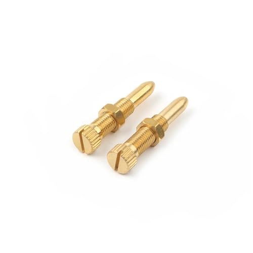 Vis de réglage ralenti moto pour Blaster 200 YFS200 lot de 2 pièces