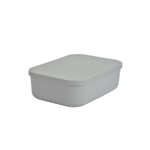 Homéa, Scatola con coperchio in plastica, 2,5 l, 25 x 17,5 x h,7,6 cm, colore: Grigio