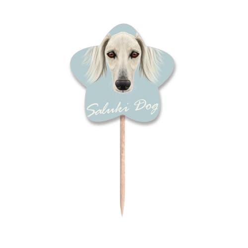Cure-dents blanc Saluki chien et motif étoile une idée cadeau originale