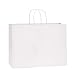 BagDream 16x6x12 Inches 50Pcs White Kraft Paper Bags with Handles Bulk Paper Gift Bags, Shopping Bags, Grocery Bags, Mechandise Bags, Party Bags, 100% Recyclable Large Paper Bags