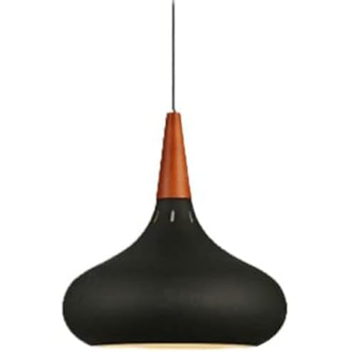 Chandelier d'art moderne suspension E27 luminaire design en fer noir