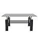 CEMKAR Rectangular Glass Coffee Table, All Black Transparent Coffee Table in The Center of The Living Room, Modern Two-Tiered Coffee Table with Metal Tube Legs