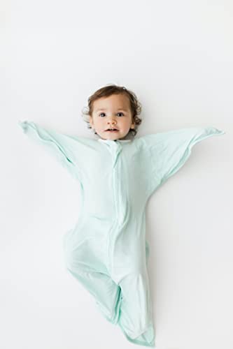Image of bebon Transition Swaddle - Baby Wearable Blanket - Cozy Sleep Sack, Wrap | with 2-Way Zipper (Dreammint, Small 4-8 Month)