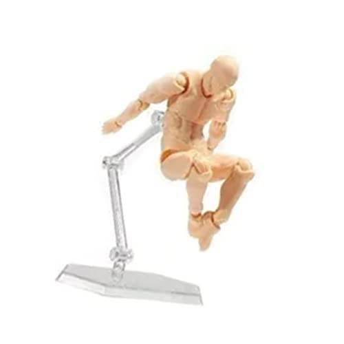 Drawing Mannequin, Art Mannequin Figure, PVC Jointed Drawing Mannequin Flexible Action Figure Drawing Mannequin For Artists Manikin Body for Home Decoration/Drawing The Human Figure