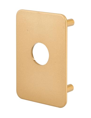 THIRARD Plaque de Renfort pour Verrou, Fixation Par Vis, Finition Epoxy Or, Acier Robuste,...
