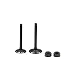 Kit de vástago de válvula de admisión y escape for motocicleta YFM225 Mo-4 225 YTM200 Tr-Mo 200 YFM25R Ra 250 PRO-4