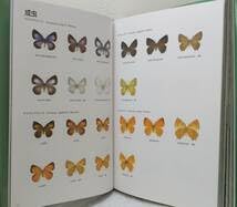 Amazon.co.jp: 自□ 大倉舜二 ゼフィルス24 日本産ミドリシジミ